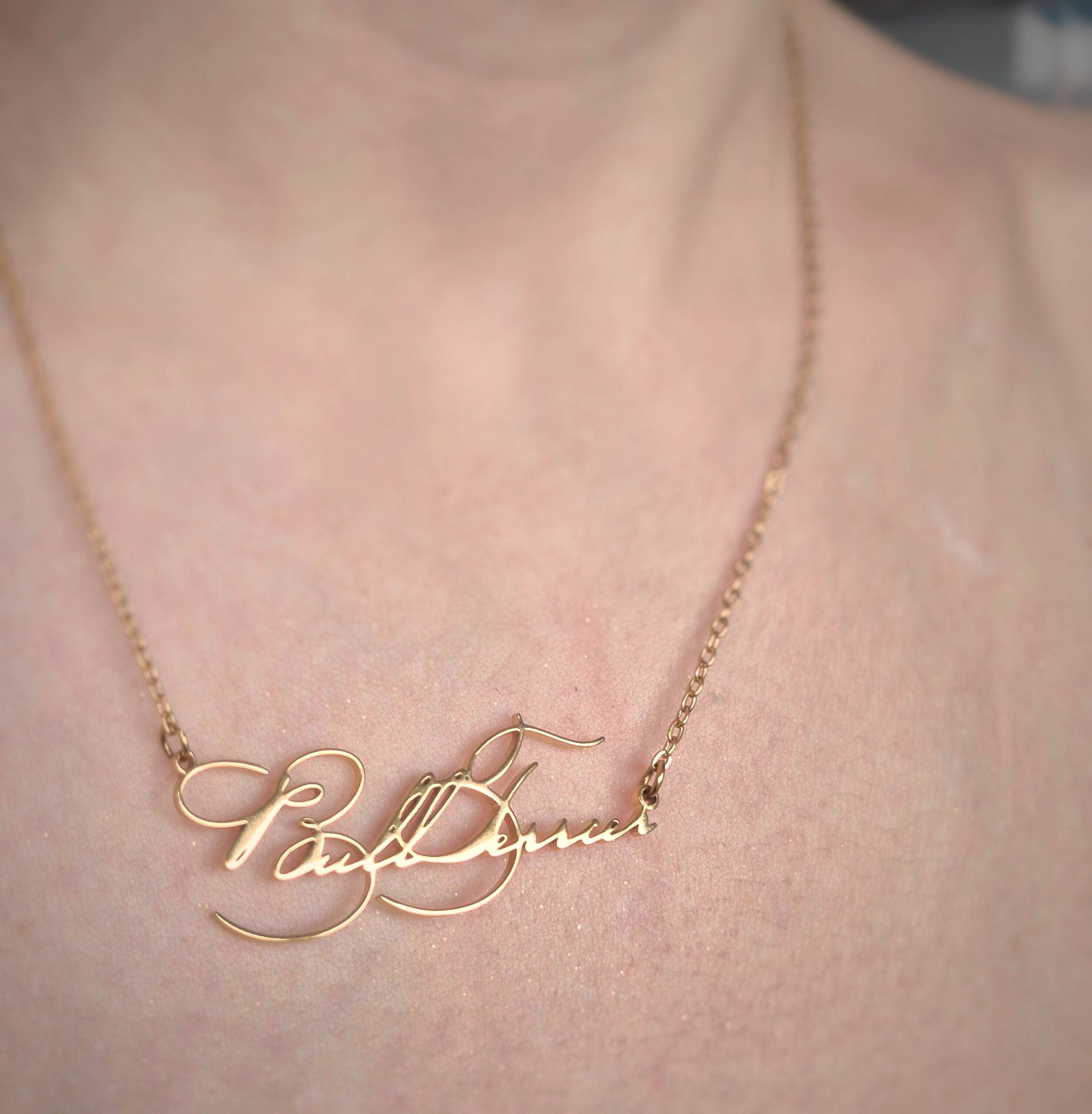 Elegant Bull Terrier necklace worn around the neck, jewelry gift for Bull Terrier lovers