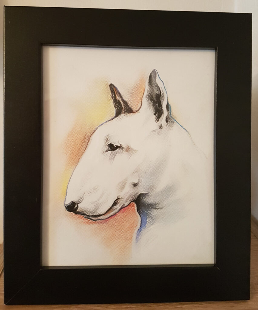 Bull Terrier Memorial Artwork