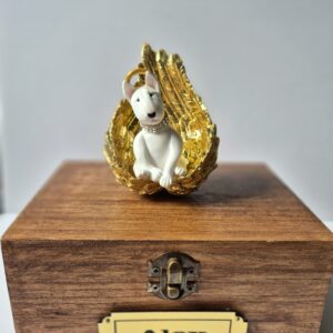 Handmade Bull Terrier memorial angel sitting in golden wings on a personalized wooden keepsake box