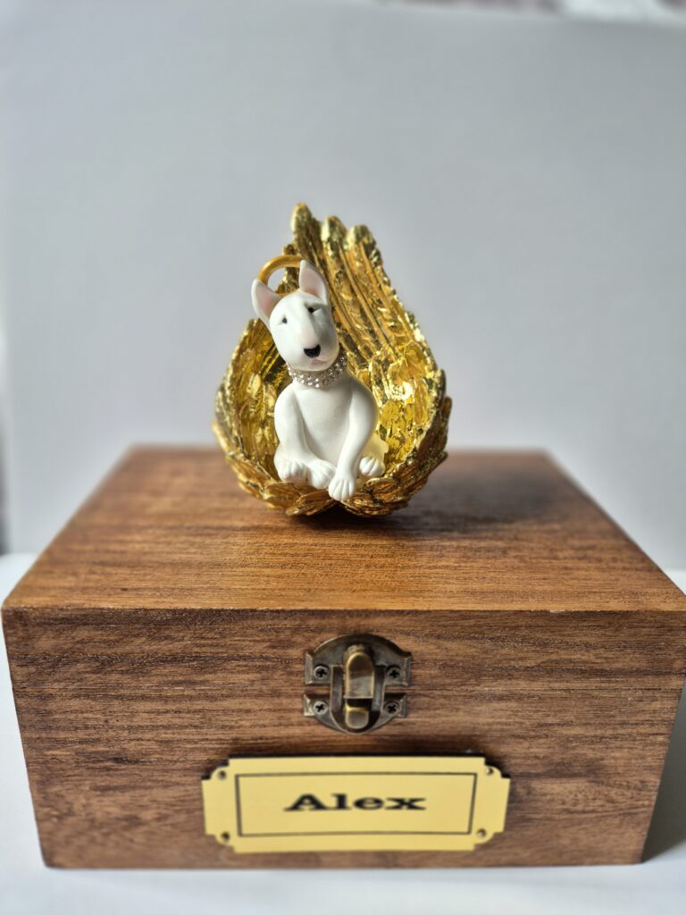 Handmade Bull Terrier memorial angel sitting in golden wings on a personalized wooden keepsake box