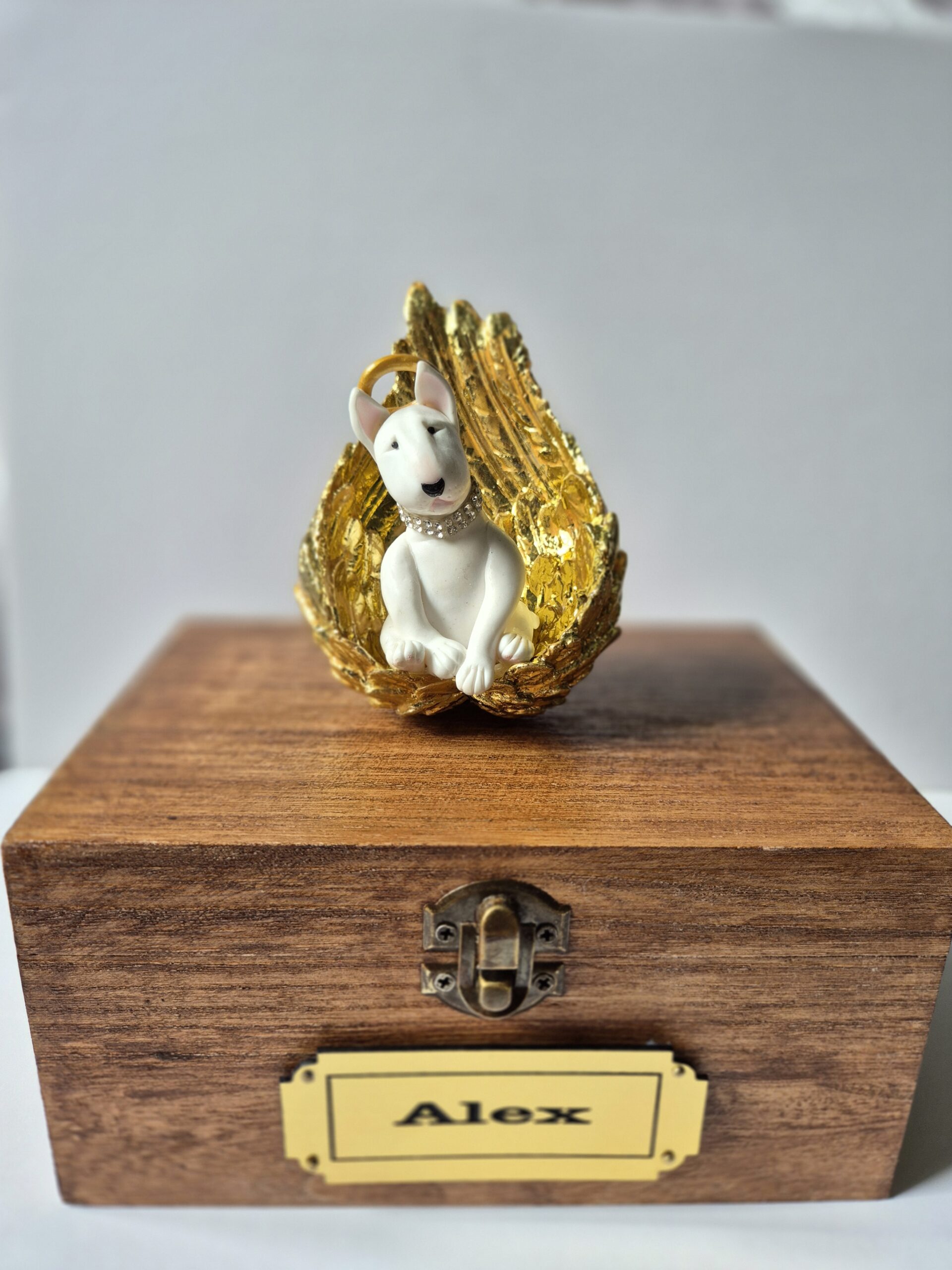 Handmade Bull Terrier memorial angel sitting in golden wings on a personalized wooden keepsake box