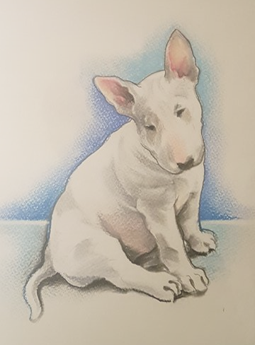 Custom Bull Terrier Portrait from Your Photo Personalized Dog Artwork - Image 5