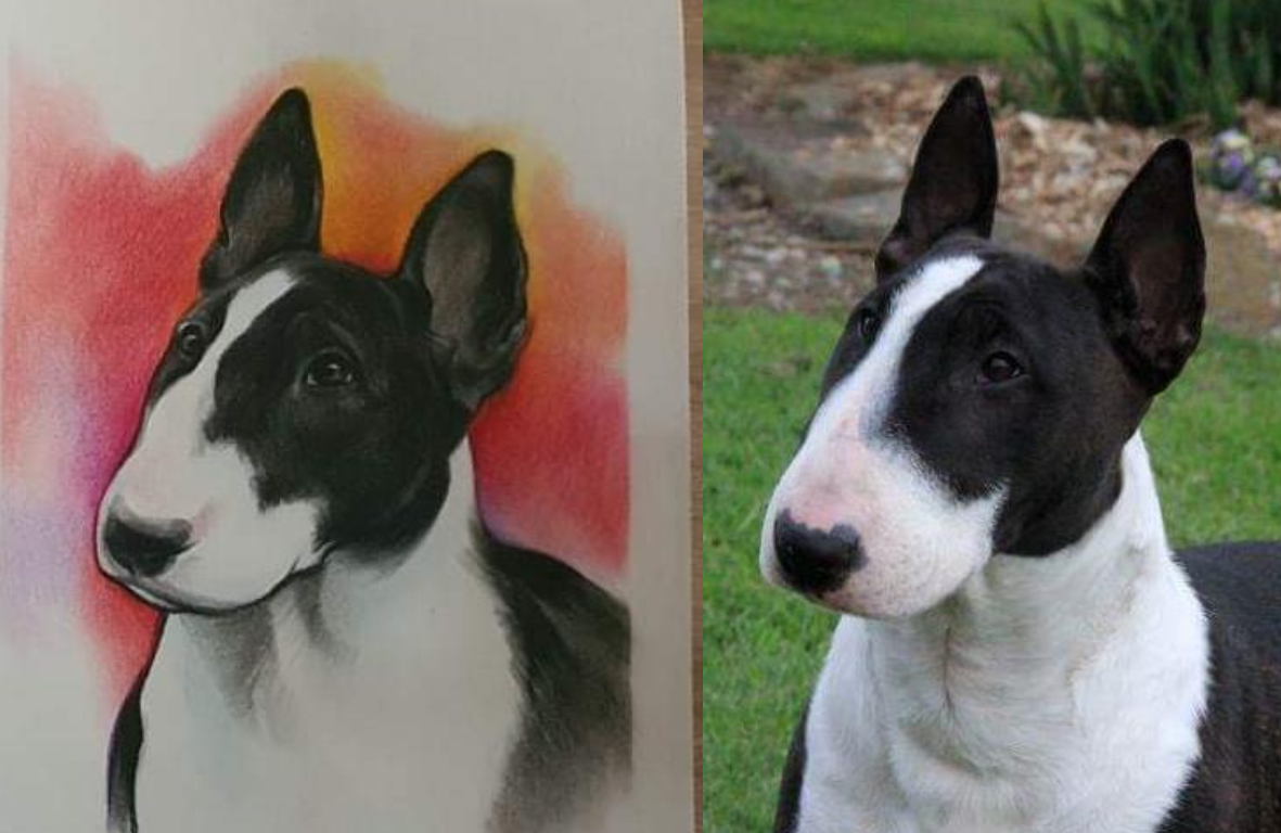 Custom Bull Terrier Portrait from Your Photo Personalized Dog Artwork - Image 8