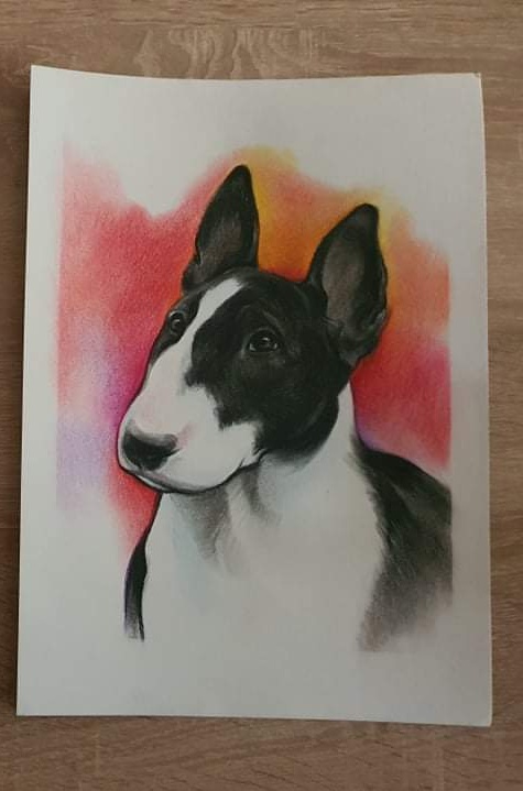 Custom Bull Terrier Portrait from Your Photo Personalized Dog Artwork - Image 7