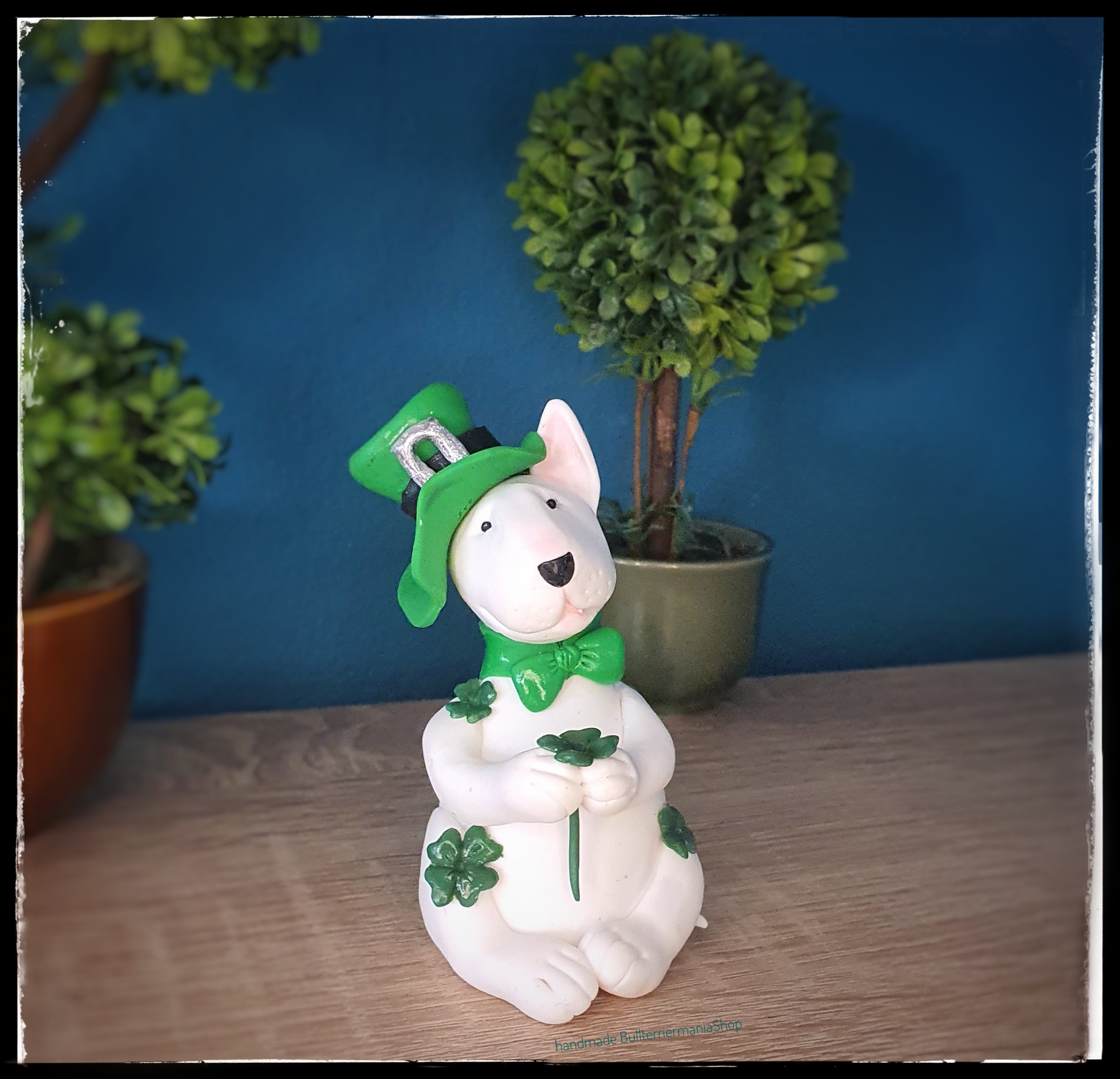 Lucky Bull Terrier with shamrocks