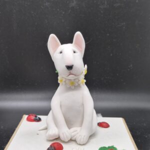 Bull Terrier with daisy collar.